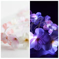 LED Light-Up Cherry Blossom Floral Crown – Glowing Pink & White Flower Headband  Light Up Flower Crown Headband (White LED) |Music Festival| EDC